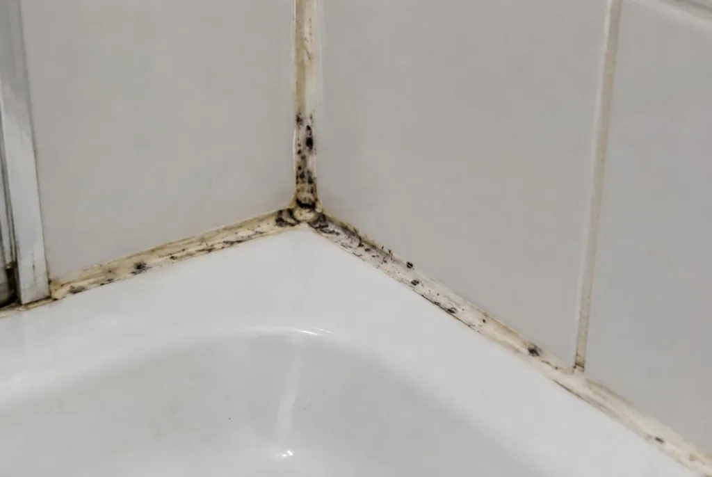 Kitbedrijf Spakenburg – beschimmelde kitranden